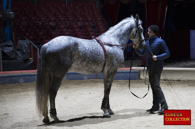 Cakin et récompense pour le cheval