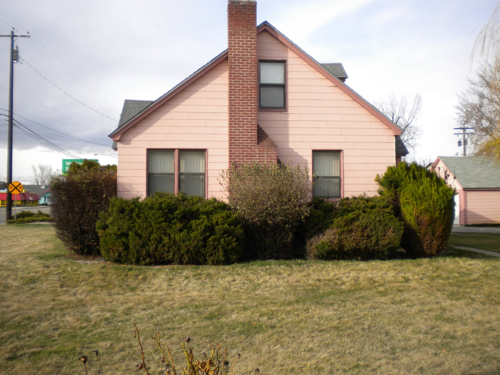 Your Human Lot Big Pink Houses For You And Me