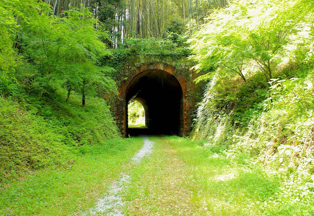 自然と一体化したトンネル。山口県の廃線跡「船木鉄道」を尋ねる【t】