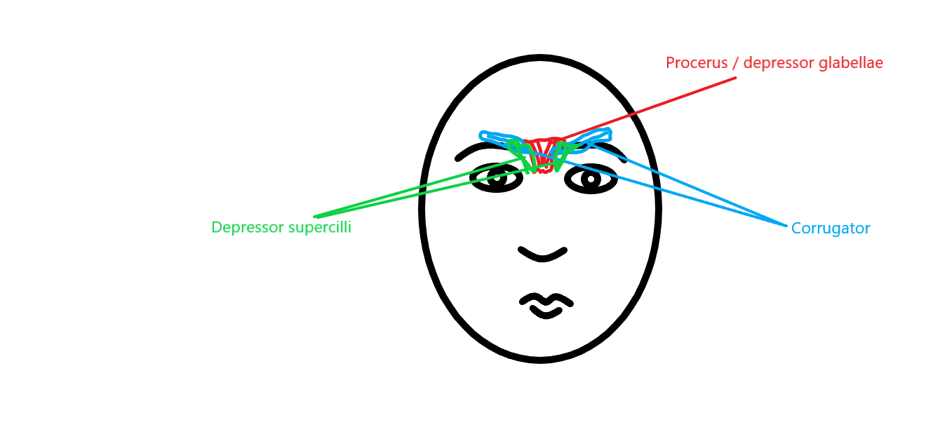 Face Keys Romania L Expert Du Visage Qui S Etait Plante D Un Muscle Ou Deux