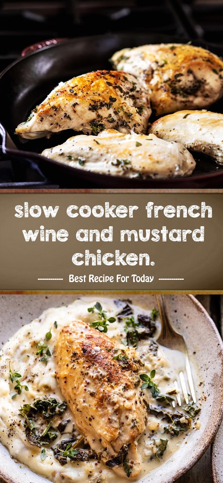 slow cooker french wine and mustard chicken. Legend Tasty Recipes