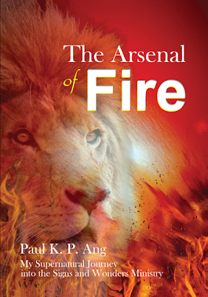 The Arsenal of Fire - ebook