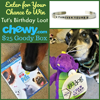 dog mom toys dvd jewelry giveaway chewy