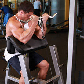 Top 10 Best Biceps Workout For Massive Size