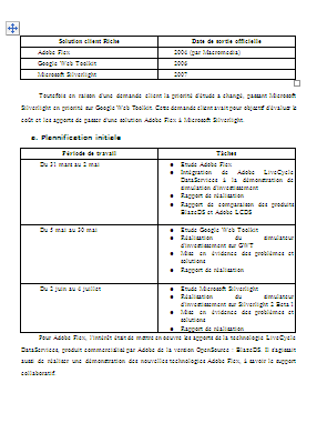 rapport de stage fin d'étude marketing