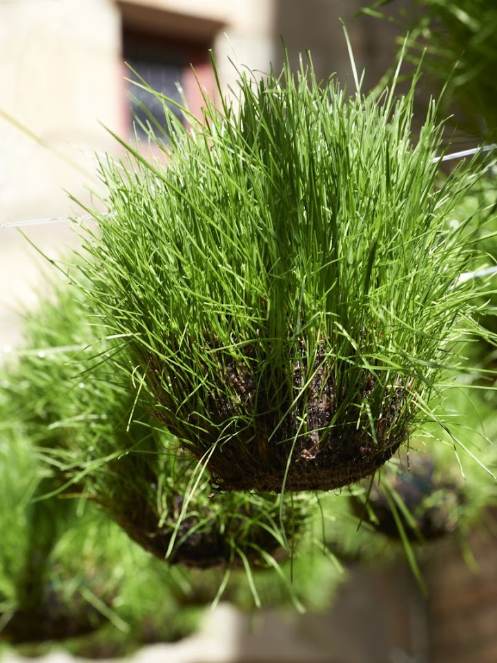 Noces d'herbes, au Château Gaillard à Vannes.