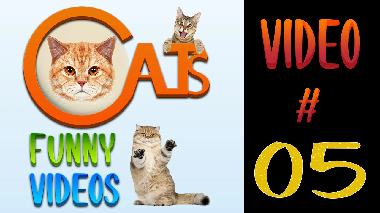Cats Funny Videos Compilation 05 | Cute Cats | #cats #catsfunnyvideos Cats Funny Videos Compilation 05 | Cute Cats | #cats #catsfunnyvideos