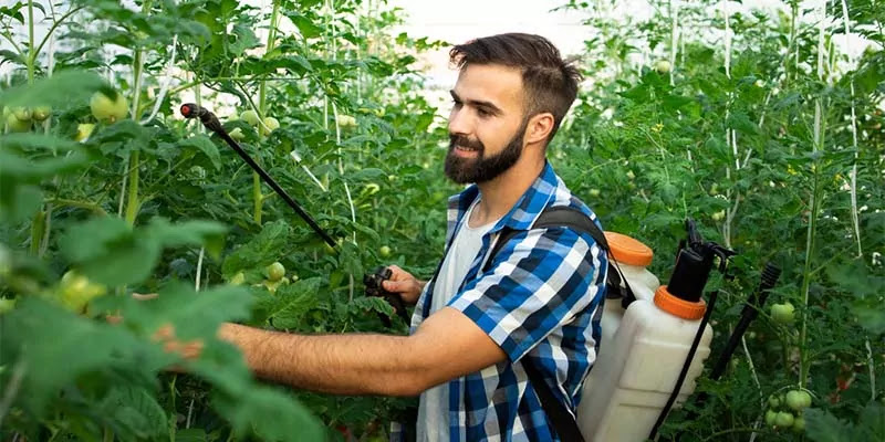 Best tank sprayer reviews 2021