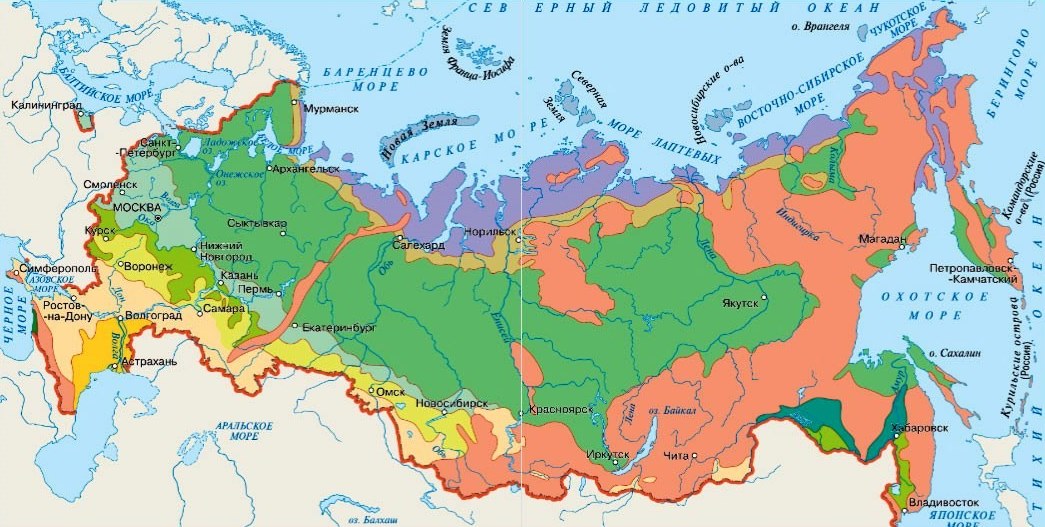 Карта с названием природных зон россии