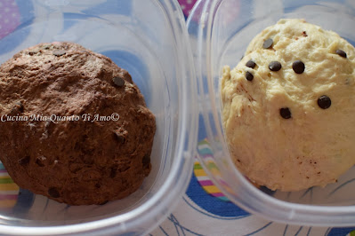 pan bauletto senza lattosio con lievito madre