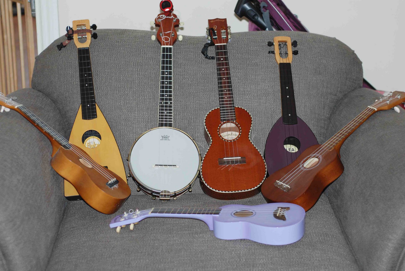 Ukulele family