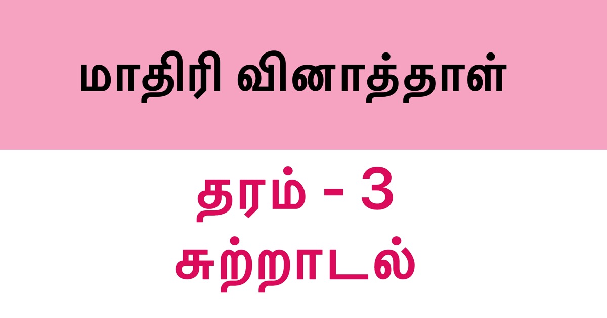 environment-model-paper-grade-3-set-2