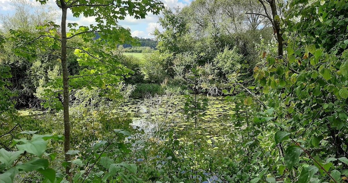 Die Schwäbische Alb und ihre Natur Naturschutzgebiete im Landkreis