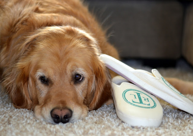 easy to make monogrammed slippers using heat transfer vinyl