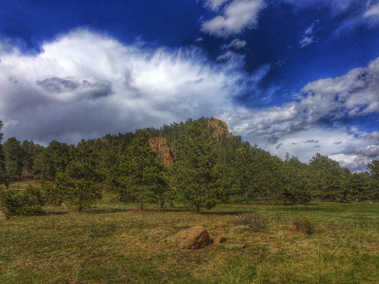 Hobbs Peak Park A Secluded Reserve