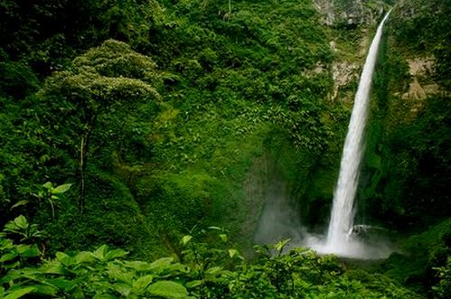 Daftar Tempat Wisata Air Terjun di Jawa Timur Daftar Tempat Wisata Air Terjun