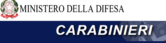 http://www.carabinieri.it/editoria/rassegna-dell-arma/anno-2002/n-1---gennaio-marzo/studi/la-gestione-dell%27indagine