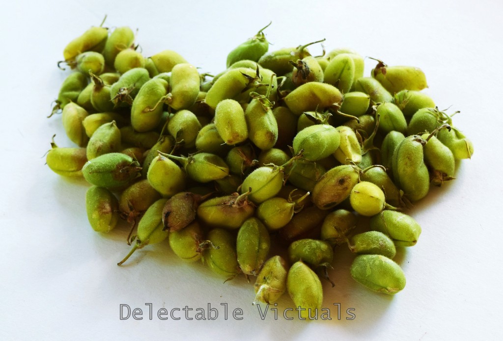 Delectable Victuals Fresh Garbanzo Beans with Nectarine Summer Salad