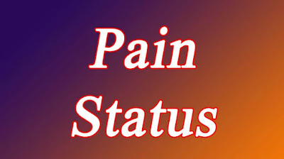 Pain Status