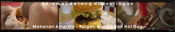 Makanan Amerika / american cuisine : Burger, Buritto dan Hot Dog