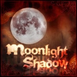 Moonlight Shadow Store