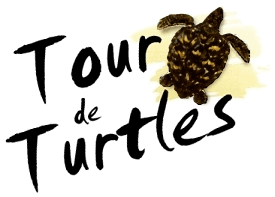 Tour de Turtles