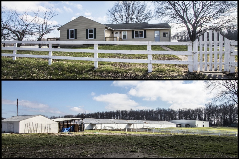 NEW LISTING IN PATASKALA! Real Estate Updates with DeLena Ciamacco