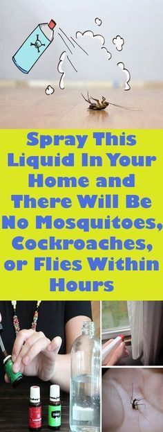SPRAY THIS LIQUID IN YOUR HOME AND THERE WILL BE NO MOSQUITOES, COCKROACHES, OR FLIES WITHIN HOURS