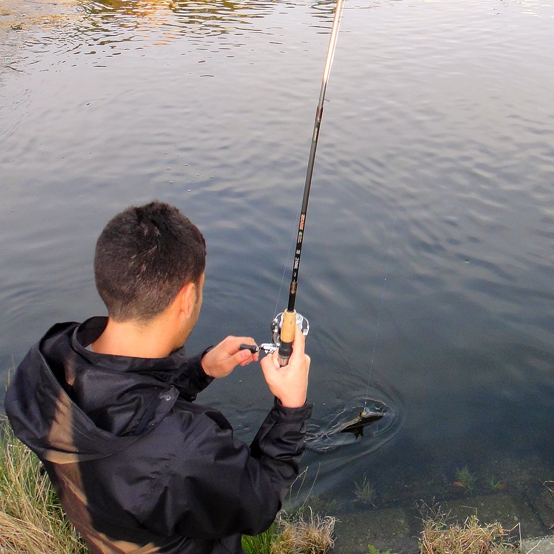 It's Tokyo Style Lure fishing in Tamagawa river, Tokyo.