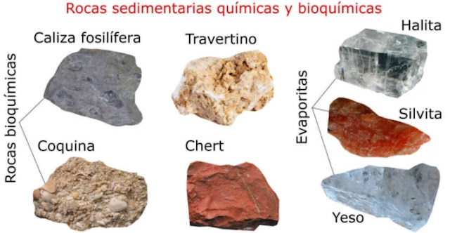 Varios ejemplos de rocas sedimentarias químicas y bioquímicas.