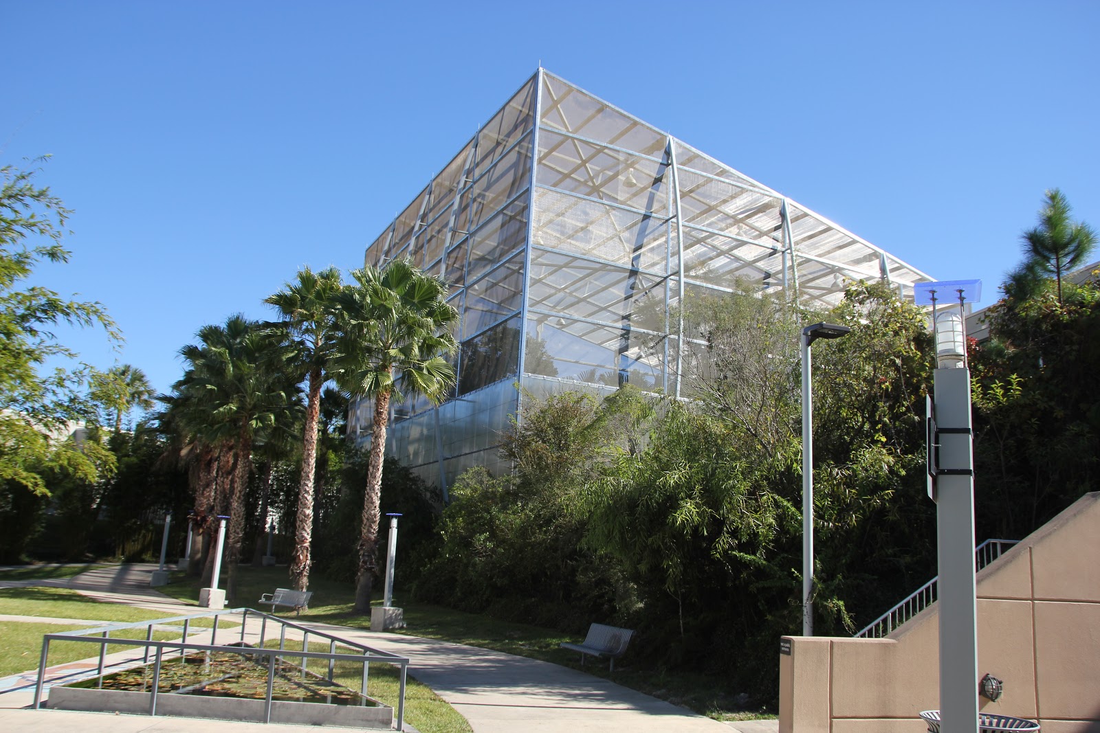Adventure Thug Butterfly Rainforest, Gainesville, FL