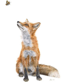 03-Fox-Angie-A-Pet-and-Wildlife-Pencil-Drawing-Artist-www-designstack-co