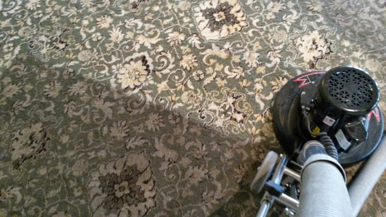 Toms River Carpet Cleaners in Toms River NJ 7324923300