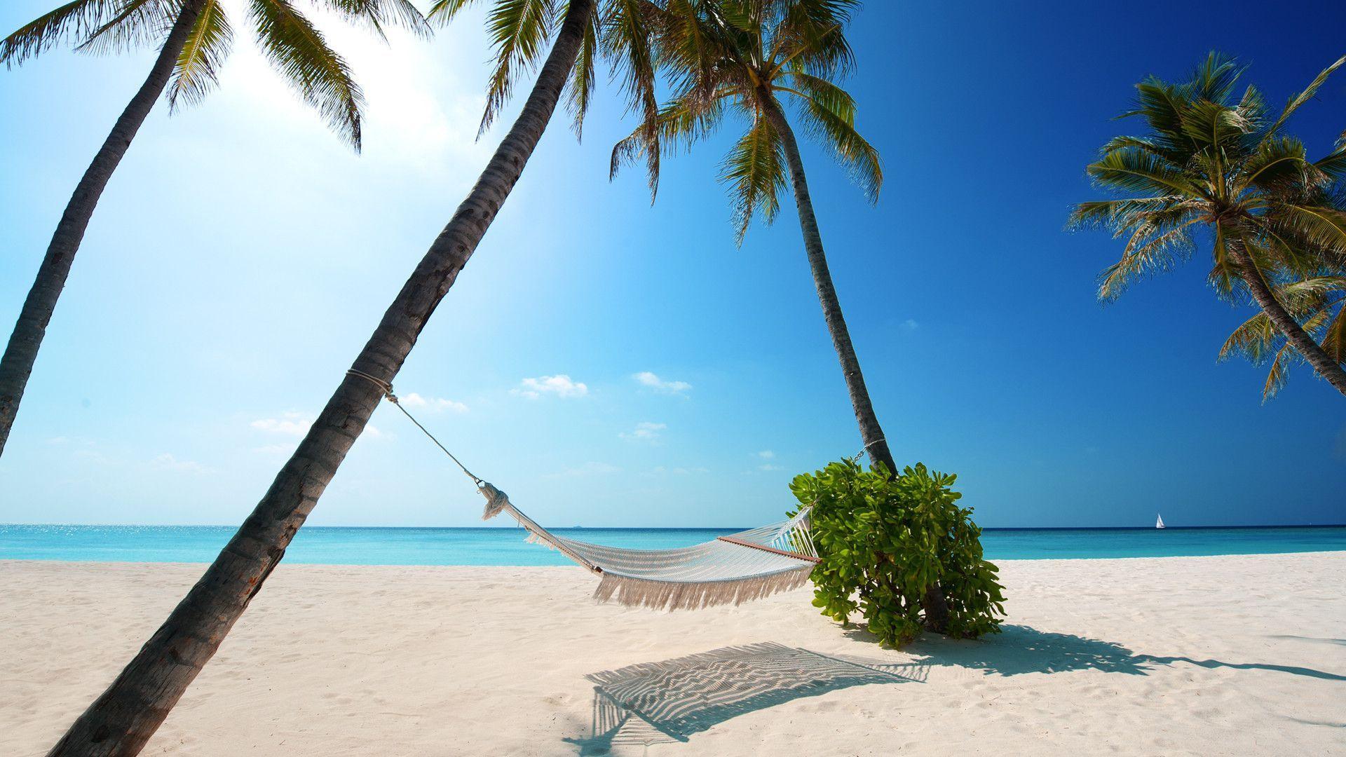 Summer Desktop Wallpaper HD ~ Wallpaper Loader