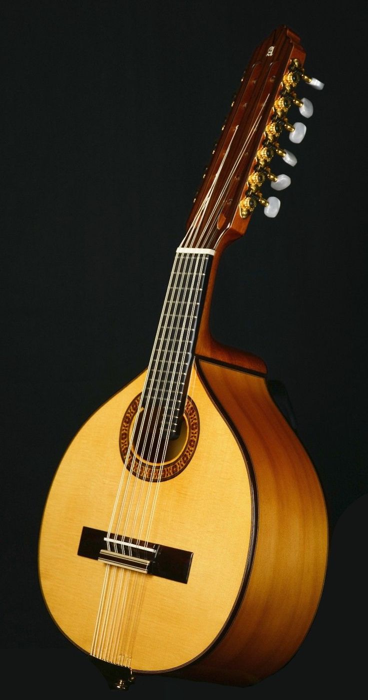 Getting To Know The Rondalla Instruments vrogue.co