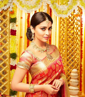 Shriya Saran in Kancipuram Sarees 3