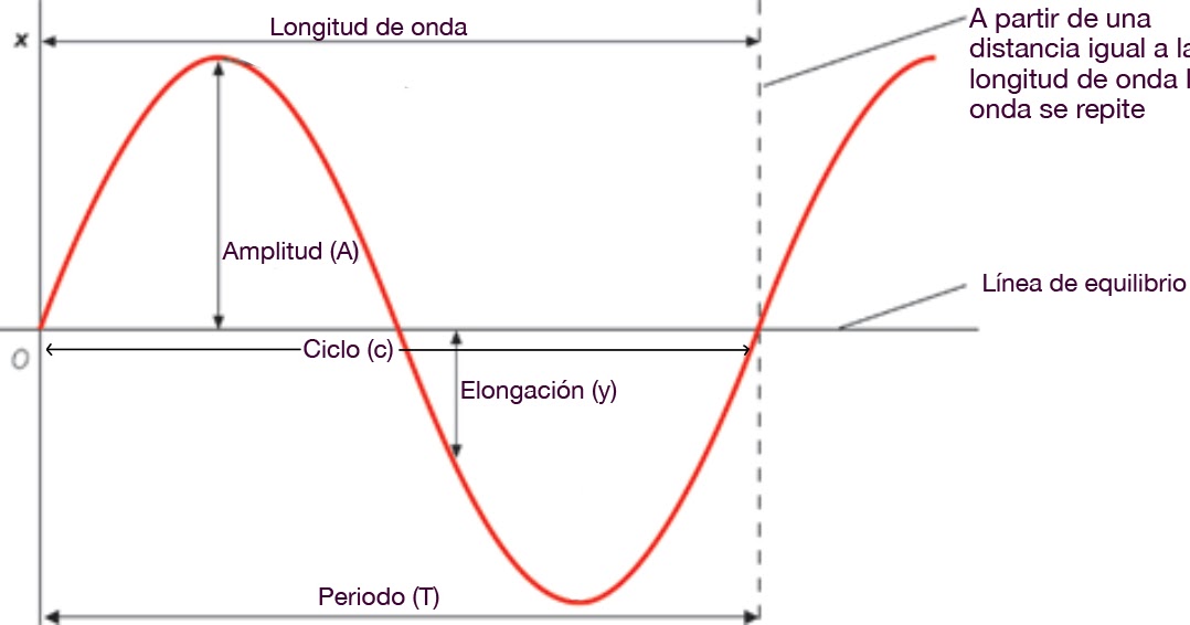 FÍSICA 1 Ondas Ondas mecánicas FÍSICA 1 Ondas Ondas mecánicas