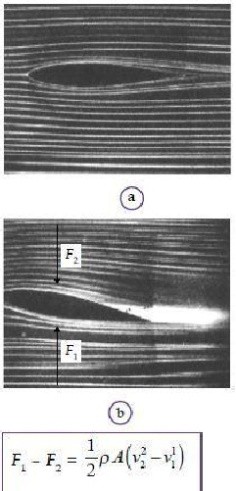 Prinsip Kerja Pesawat Terbang Hukum Bernoulli