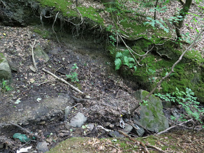 The Language of Stone: Geology in Bowden Housteads Wood