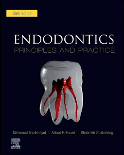 Endodontics Principles and Practice 6th Edition Endodontics Principles and Practice 6th Edition