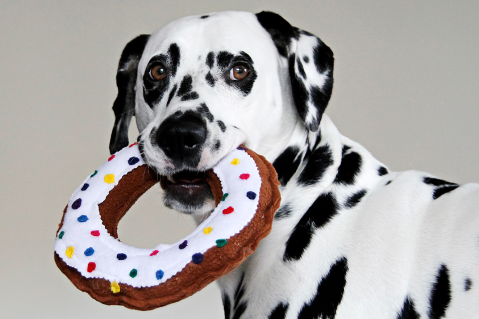 Dalmatian DIY DIY Squeaky Softie Sprinkled Donut Dog Toy