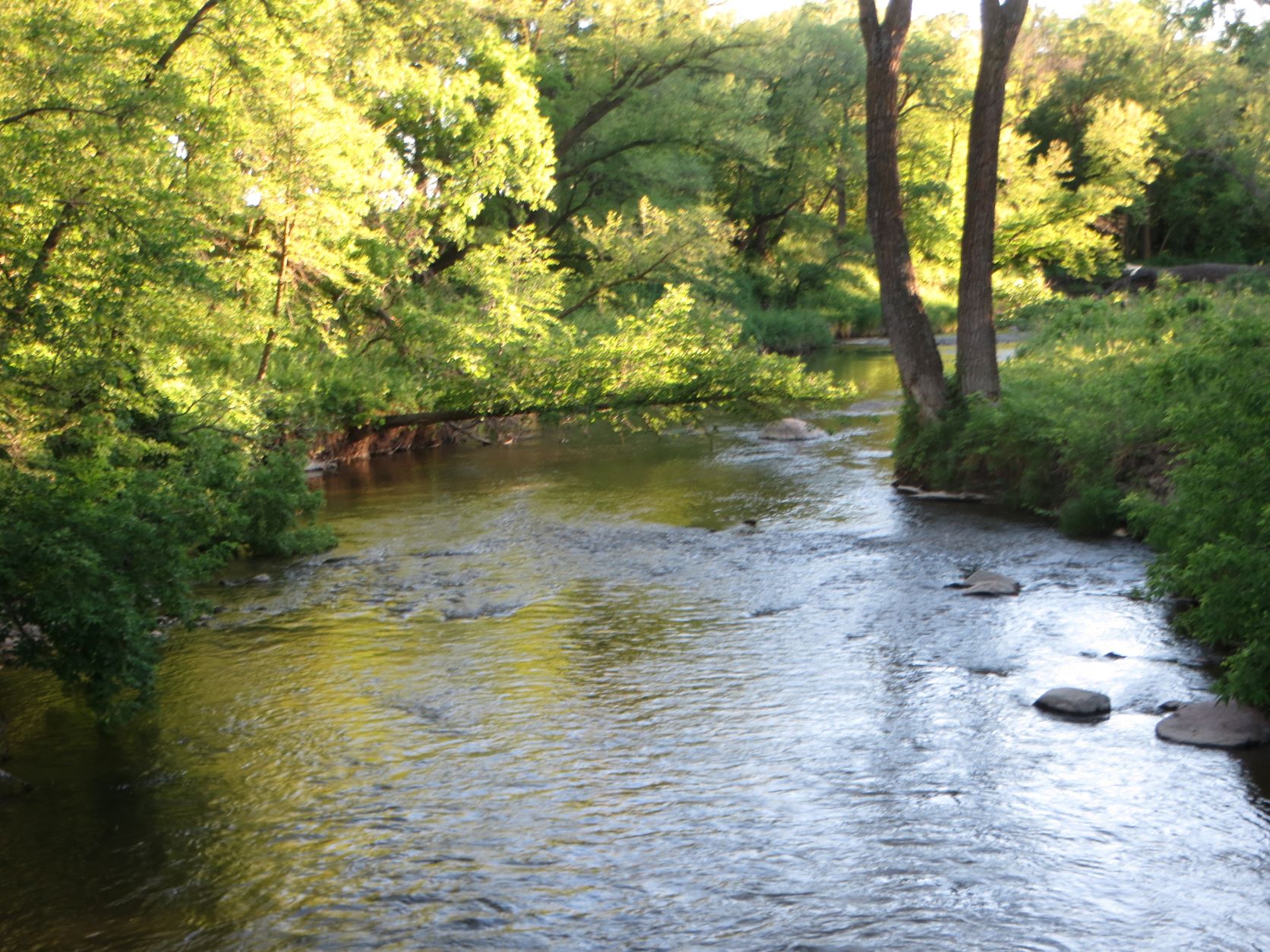 Travel Bug Buffalo River State Park in Glyndon, Minnesota Sunday, June 13, 2021