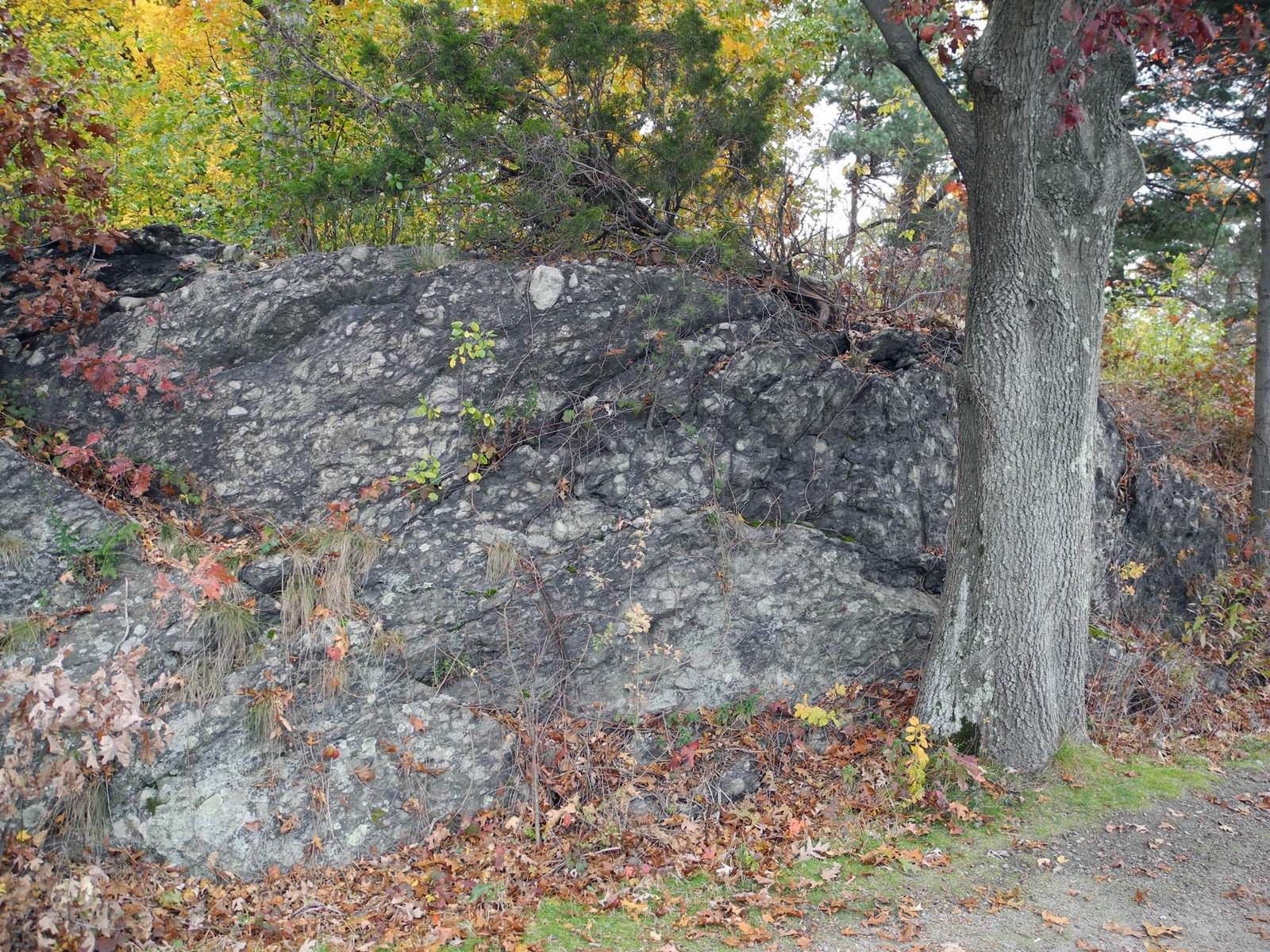 Written In Stone...seen through my lens Architectural Geology of Boston The Roxbury