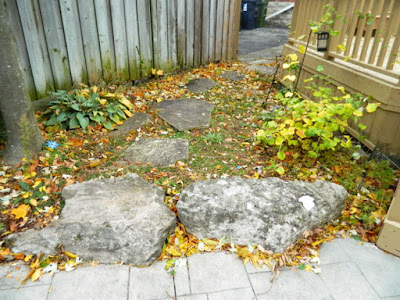 Bedford Park Toronto Fall Cleanup Backyard Before by Paul Jung Gardening Services--a Toronto Gardening Company Bedford Park Toronto Fall Cleanup Backyard Before by Paul Jung Gardening Services--a Toronto Gardening Company