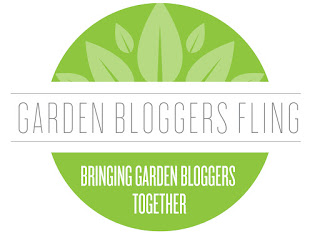 GoodGarden blogging times