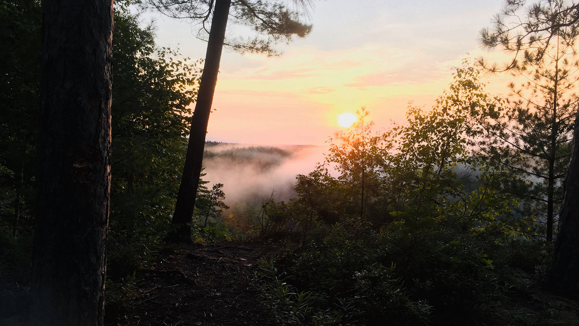 Trip Report Algonquin docuseries about history and conservation of
