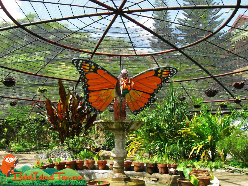 Sagbayan Peak Bohol Island Tour WoW Bohol Package Tours and Travel