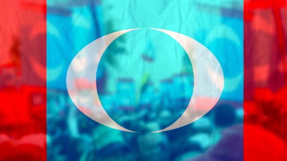 PARTI KEADILAN RAKYAT: PERLEMBAGAAN PARTI