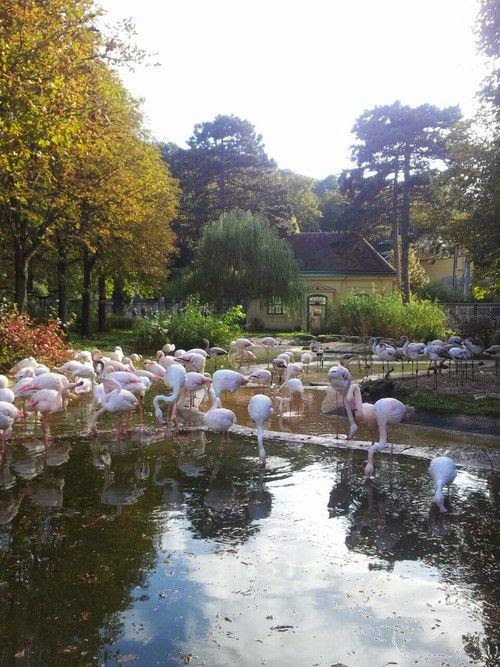 10 of the World's Most Famous Zoos Our World Stuff