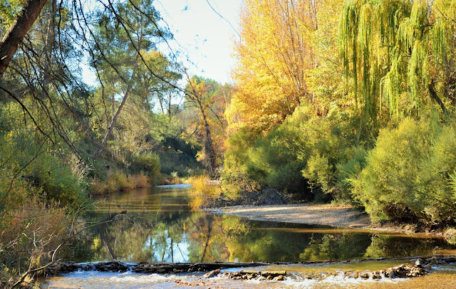 GACHAMIGA Y LAS SIERRAS DE CAZORLA, SEGURA Y LAS VILLAS